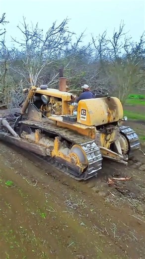 How Bulldozers Use Giant Steel Chains to Clear Entire Forest in Minutes?