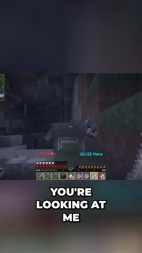 Best Friend Forever! Wolf Taming & Crafting Mystery in Medieval SMP #shorts