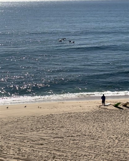 Alisyn Camerota on Instagram: "Our glorious run of tropical Spring Breaks has come to an end. It’s amazing how restorative sunshine and salt water are after a long gray winter. The blast of sun even gave us courage to try surfing for the first time (This Jersey Shore girl is a champion of laying on a beach, not water sports). but the kids and I pushed past our comfort zone and caught some awesome waves. This last leg of our tropical adventure was courtesy of our dear friends who shared their fav