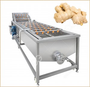 Automatic Bubble Fresh Ginger Vegetable Washing Machine