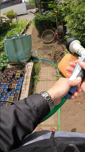 【モンシロチョウ撃退🚿考察】🦋休憩中の紋白蝶を確実に仕留める💪ソフト水流で逃げ場なし🚿大根の青虫は“大元から叩く”のが最強👍【takagi 散水ノズル プログリップガーデン タカギ】＃Shorts