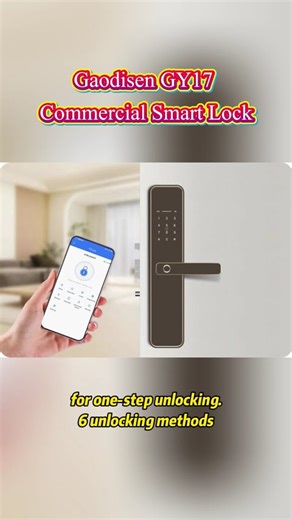 Gaodisen GY17 Commercial Smart Lock | IML Curved Matte & Grip-Integrated Fingerprint 🔒🤏