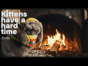 Funny Cat Tries to Start a Fire... But Ends Up Burning His Paw!