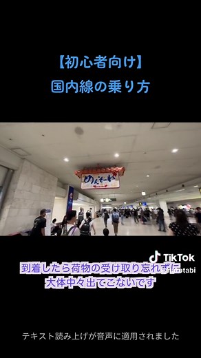 国内線の乗り方: 初心者向けガイド