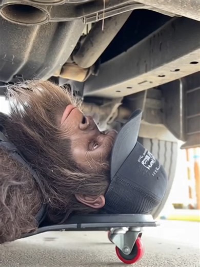 Every Shop has one #trucking #dieselmechanic #trucktok #shoplife