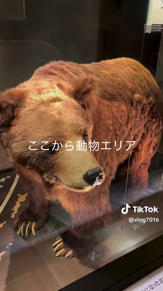 国立科学博物館 : おすすめの観光スポット