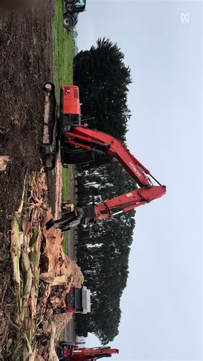 Tree Shredding Process with Hitachi 210LCH Machine