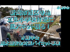 新潟市西区寺地 立仏小学校付近に巨大ネット現る！