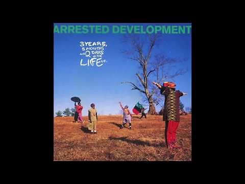 Arrested Development ‎– Children Play With Earth - 3 Years, 5 Months And 2 Days In The Life Of...