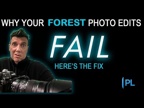 Why Your Forest Photo Edits FAIL (and How to Fix Them in DxO PhotoLab)