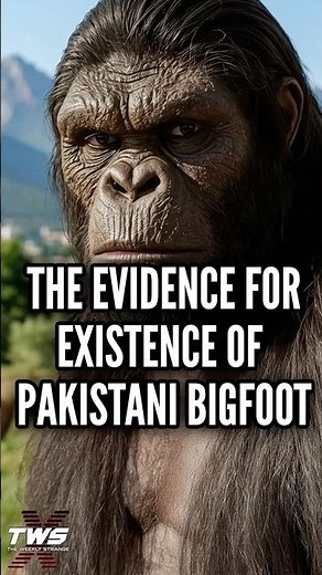 THE EVIDENCE FOR THE EXISTENCE OF THE BARMANOU! #paranormalpodcast #podcast THE WEEKLY STRANGE