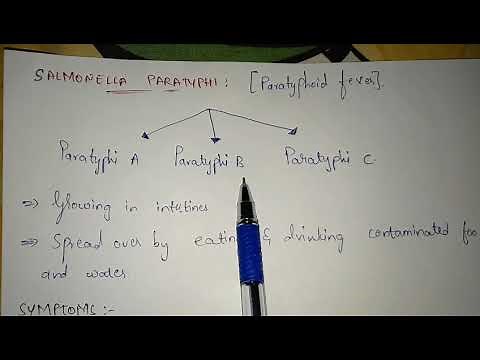 SALMONELLA TYPHI AND PARATYPHI || STRUCTURE, SYMPTOMS, TREATMENT, LIFE CYCLE || BY PHANINDRA GUPTHA