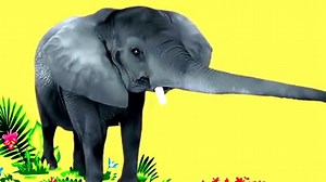 Animal Songs: Dance with the Elephant, by StoryBots