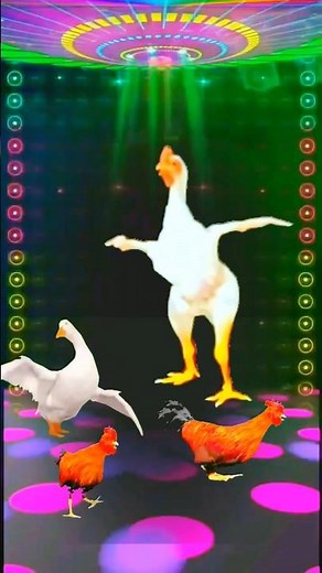 DJ Chicken Dance 🐔😂 #chickendance #chickensong