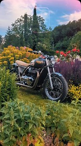 RIDE & CHROME – ELEGANCE BY FCR ORIGINAL At FCR Original, we craft motorcycles with subtle charm, where every detail blends elegance and pure riding sensations. With the Ride & Chrome range, our expertise brings to life refined machines with flawless lines and striking finishes. More than just a motorcycle, it’s a signature—one of style, class, and the pleasure of riding with distinction. FCR Original – Where the road meets art RIDE & CHROME – L’ÉLÉGANCE SELON FCR ORIGINAL Chez FCR Original, nou