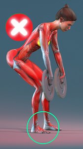 Why are RDLs so effective? The RDL primarily targets the hamstrings, glutes, and lower back muscles, with secondary activation of the quadriceps, calves, and core muscles. By strengthening these muscle groups, the RDL can help improve overall athletic performance and reduce the risk of injury. #rdl #hamstrings #glutes #lowerback #quadriceps #calves #corestrength #athleticperformance #injuryreduction #strengthtraining | Fitonomy App