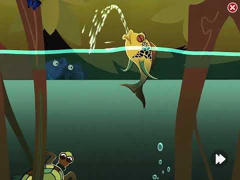 Level 4: The Amazon Rainforest