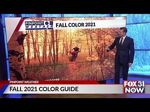 Colorado fall colors 2021: Where and when to see changing leaves