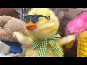 Goodwill Find - Gemmy Dancing Chicken With Glasses