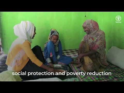 The FAO elearning Academy: a rich offer of free multilingual certified elearning courses