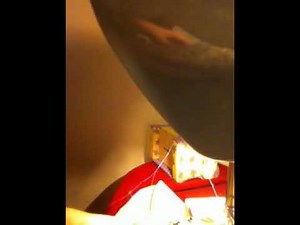 How to make a wolf tail