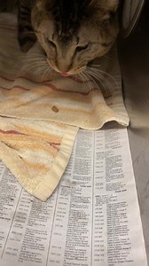 2.7K views · 253 reactions | URGENT - URI GUMBY - A264036 Male/Age...