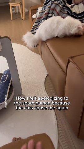 Sorry not sorry living my best cat mom life