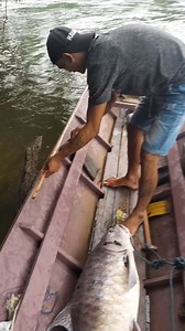 2.4K views · 71 reactions | Coffee Mix Ice on Reels | Facebook