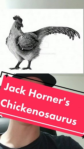 Dinosaur Fossil Discovery: Unraveling the Mystery of Chickenosaurus