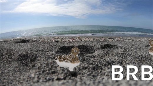 ⭐ASMR Comfy Cozy Christmas⭐!yt !links