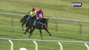 49K views · 1.1K reactions | ❤ Sprinter Sacre ❤ Awesome when winning his first Champion Chase by 19 lengths in 2013! In the following weeks he also won at Aintree & Punchestown, with his rating hitting 1⃣8⃣8⃣ 勞 #RTVFlashback | #CheltenhamFestival | #16DaysToGo | Cheltenham Racecourse | Racing TV | Facebook