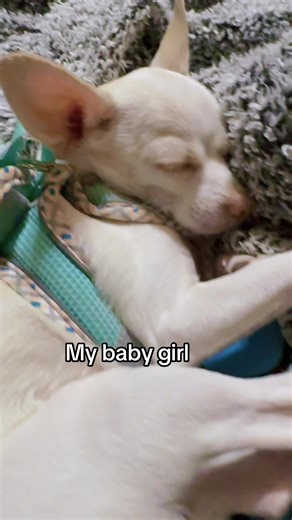 Tabledancer72 Gen❌ (@thetabledancer72)’s videos with original sound - countrycamo_80