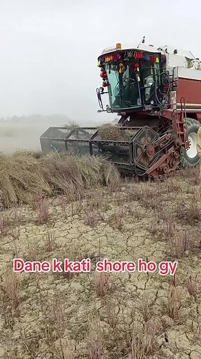 for#you#page#support_me #unfrezzmyaccount #🙏🙏🙏🙏🙏🙏🙏🙏🙏 @Meer baloch @faiq ladla