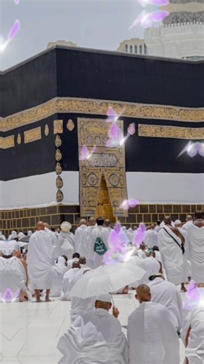 wafadar 🥰🌹Hai khud Hi pyar Hai usmein sukun hai Allah #love #trinding #shots video