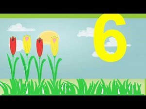 Identifying numbers and learning counting.