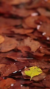 Morning Inspiration... #plusmodelmag | Plus Model Magazine