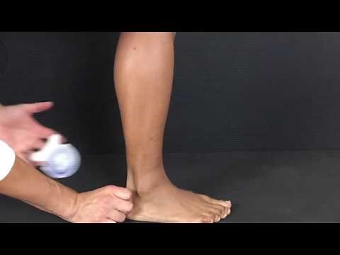 Closed Chain Dorsiflexion