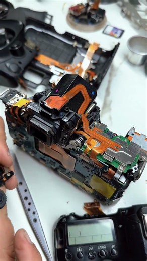 Canon 6d mark 2 #digitalcamera #eos8000d #dslrcamera #canonm10 #shorts