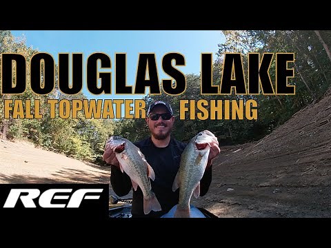 DOUGLAS LAKE: Fall Topwater Bass Fishing