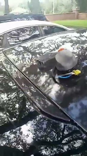 Ford fusion antenna replacement #carprodiyer
