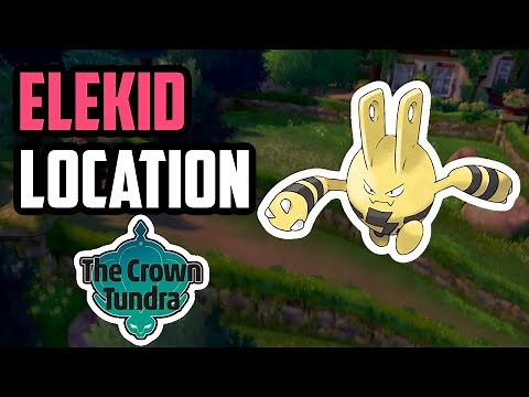 How to Catch Elekid - Pokemon Sword & Shield (DLC)