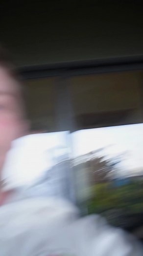 Exploring the Costa Rican Cloud Forest with Palpitoad | Unique Wildlife Encounter