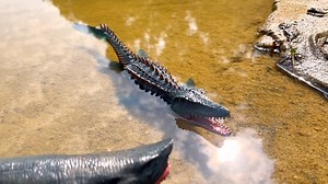 Watch The Megalodon and Mosasaur Shark Toys on Amazon Live