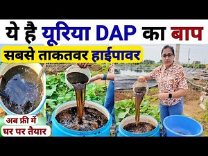 DAP यूरिया से अधिक ताकतवर हाईपावर खाद | high power fertilizer | humic acid fertilizer | jaggery uses
