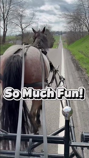 Let’s go riding in an Amish buggy! No rush,just simplicity. Would you try this? Comment yes or no!