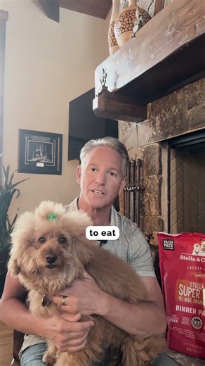 Don’t Feed Dogs These 6 Toxic Foods 😳🐶