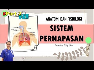 ANATOMI DAN FISIOLOGI PERNAPASAN PART 2