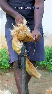 Coconut Peeling for Beginners: Step-by-Step Guide! 🥥👶 #Shorts #youtubeshorts #shorts #youtube