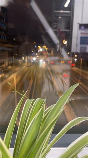 Harbin Road View China 🇨🇳 #harbin #shortvideo #shortsfeed #shortsviral