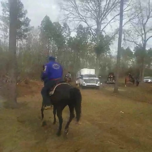 14K views · 303 reactions | DJ Trucker the Black Cowboy making the horse dance. Just like riding a bicycle, never forgot how to ride. If you know me, you know! Little blurry in the beginning but cleared up. Kountry Life!! #djtrucker | Dj trucker mc | Facebook